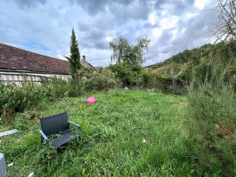 Jardin avant nettoyage : végétation envahissante.
